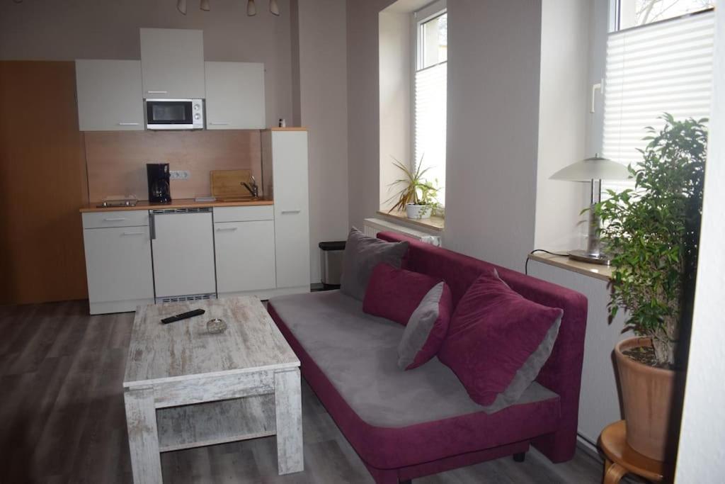 City Appartement Mit Garten, Zentral Und Trotzdem Ruhig Cottbus Exterior foto