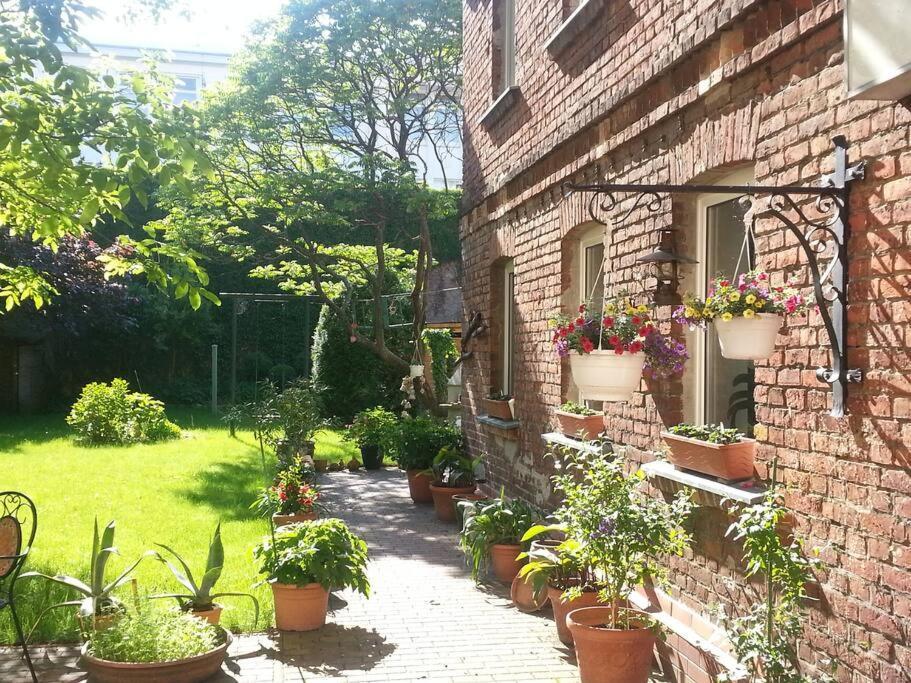 City Appartement Mit Garten, Zentral Und Trotzdem Ruhig Cottbus Exterior foto