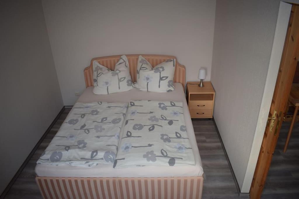 City Appartement Mit Garten, Zentral Und Trotzdem Ruhig Cottbus Exterior foto